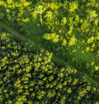 Solero plant eigen bedrijfsbos met Trees for All